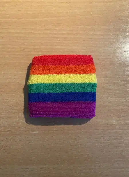 Wrist Band Bear Pride