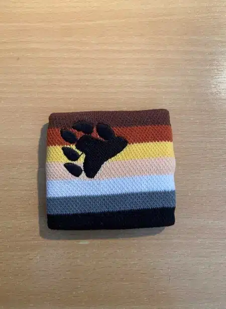 Wrist Band Bear Pride