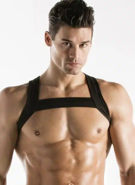 CODE 22 Sport Harness Black