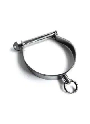 Darby Style Neck Collar