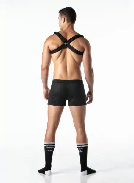 Leader Combat Harness Army