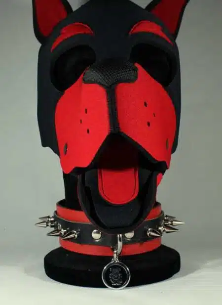 Leather Collar with Spikes