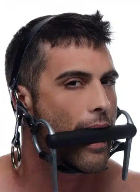 Master Series Steed Head Harness