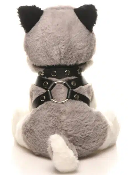 Max The Fetish Pup