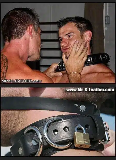 Mr. S Fetters Leather Locking Bondage Collar Black