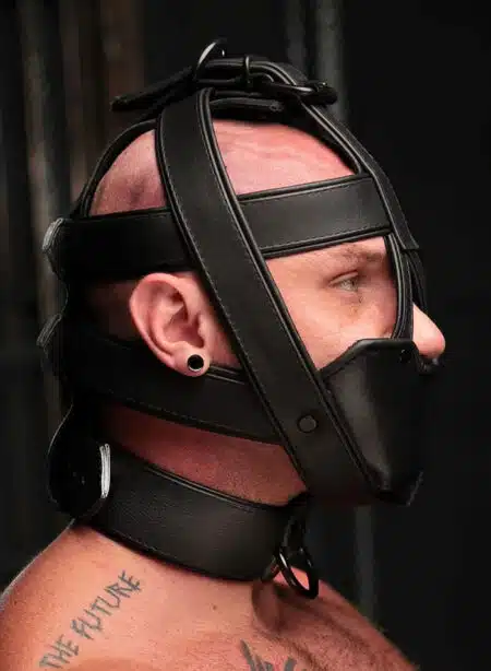 Mr. S Hardline Head Harness Muzzle Padded Non-locking Black