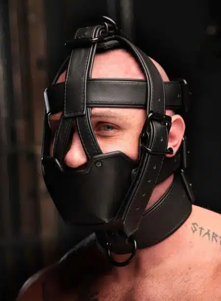 Mr. S Hardline Head Harness Muzzle Padded Non-locking Black