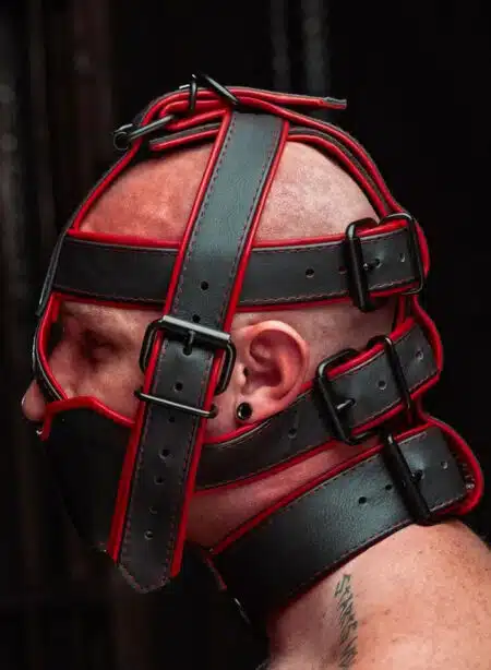 Mr. S Hardline Head Harness Muzzle Padded Non-locking Red