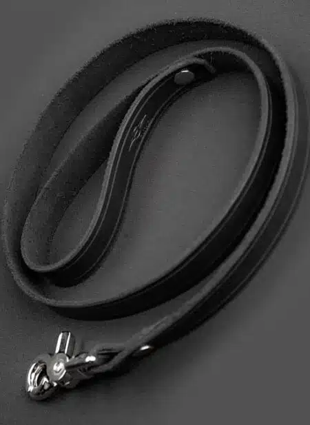 Mr. S Leather All Leather Leash