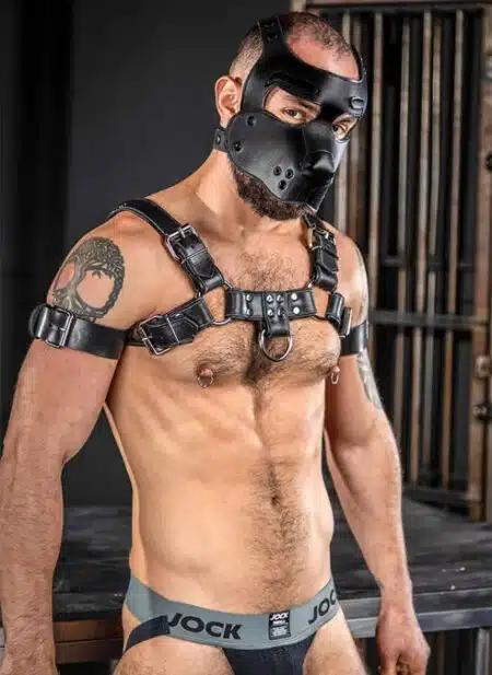 Mr. S Leather Bone Hound Puppy Muzzle Black
