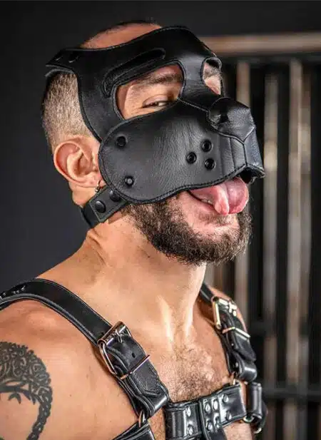 Mr. S Leather Bone Hound Puppy Muzzle Black