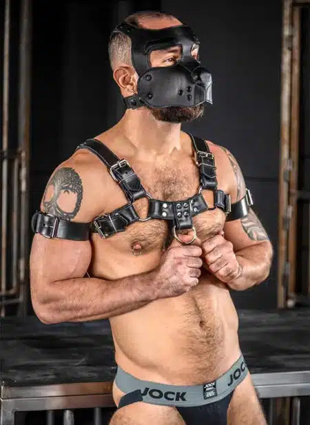 Mr. S Leather Bone Hound Puppy Muzzle Black