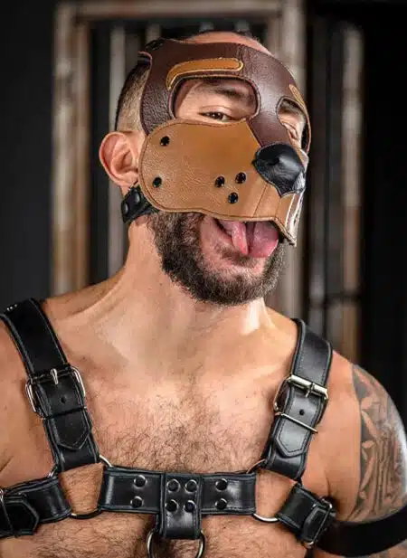 Mr. S Leather Bone Hound Puppy Muzzle Brown
