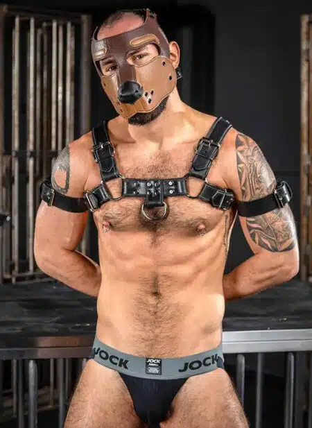 Mr. S Leather Bone Hound Puppy Muzzle Brown