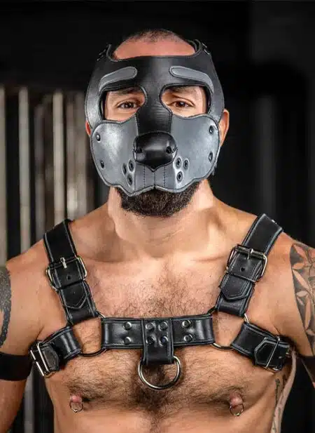 Mr. S Leather Bone Hound Puppy Muzzle Grey