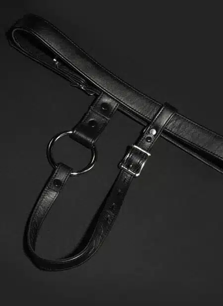 Mr. S Leather Butt Plug Harness Lockable