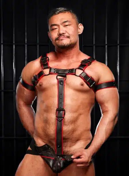 Mr. S Leather Cockstrap for Hardline Bulldog Harness