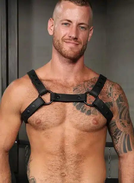 Mr. S Leather Crossbow Chest Harness