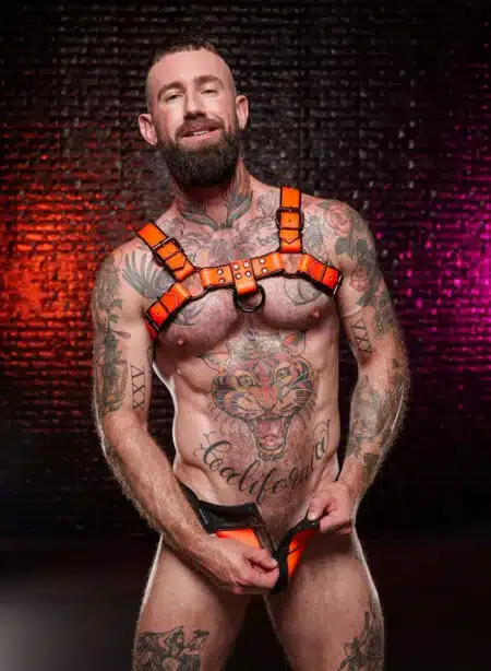 Mr. S Leather Dark Room Bulldog Harness Orange