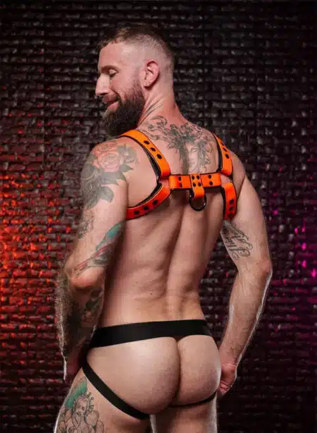 Mr. S Leather Dark Room Bulldog Harness Orange
