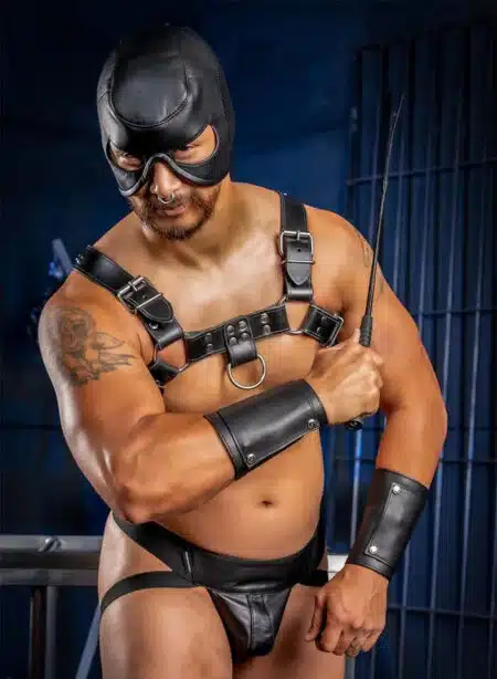 Mr. S Leather Dungeon Half Hood