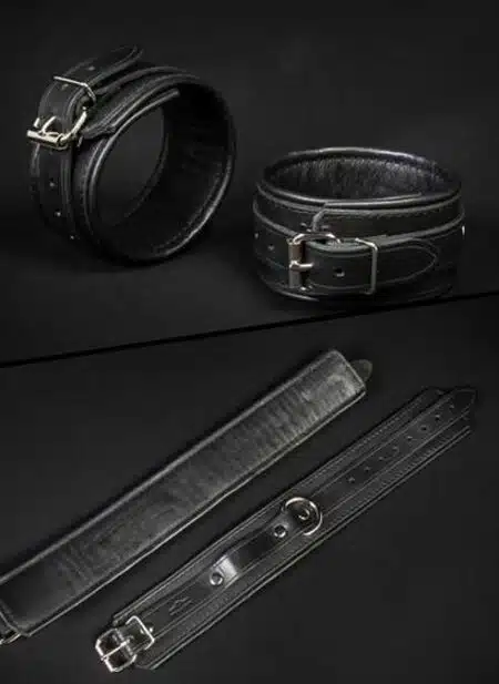 Mr. S Leather Essential Ankle Restraints