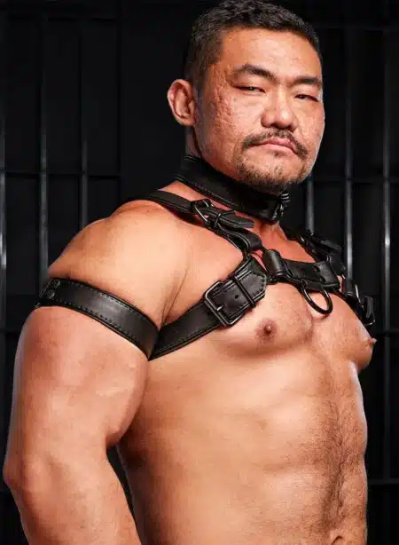 Mr. S Leather Hardline Bulldog Harness Black