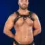 Mr. S Leather Hardline Bulldog Harness Black