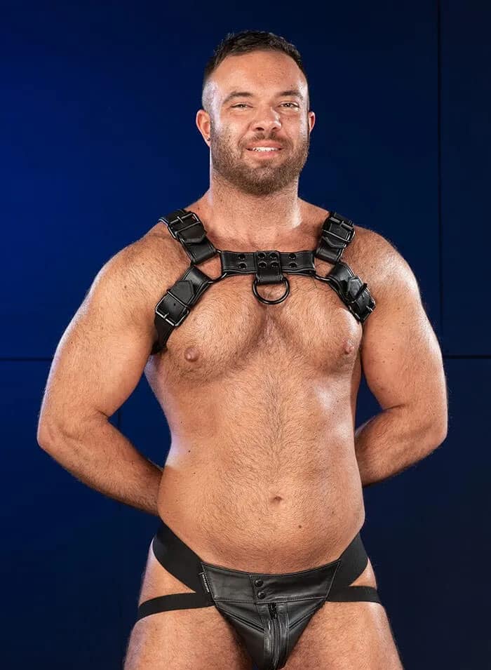 Mr. S Leather Hardline Bulldog Harness Black