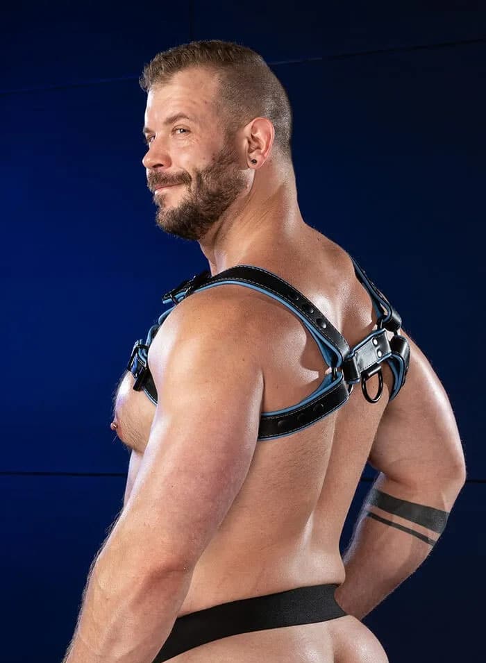 Mr. S Leather Hardline Bulldog Harness Light Blue