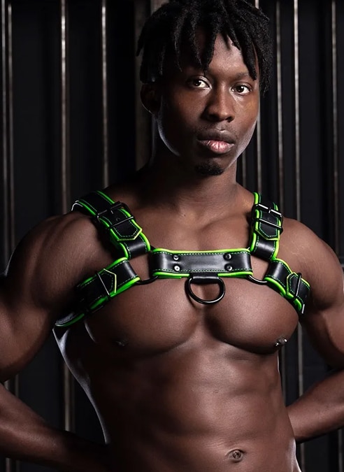 Mr. S Leather Hardline Bulldog Harness Lime