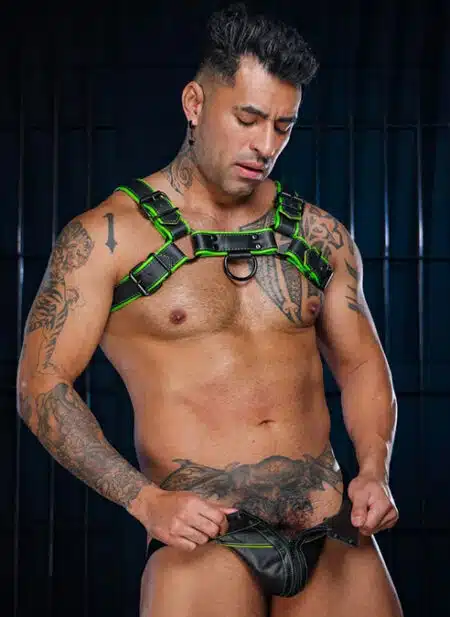 Mr. S Leather Hardline Bulldog Harness Lime