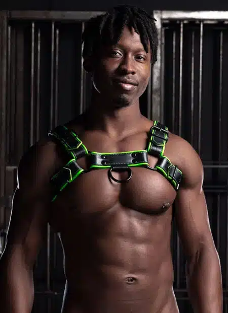 Mr. S Leather Hardline Bulldog Harness Lime