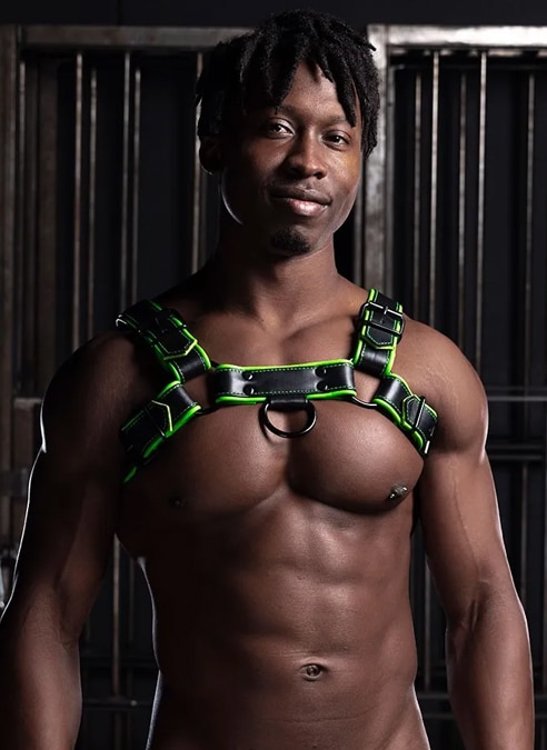 Mr. S Leather Hardline Bulldog Harness Lime