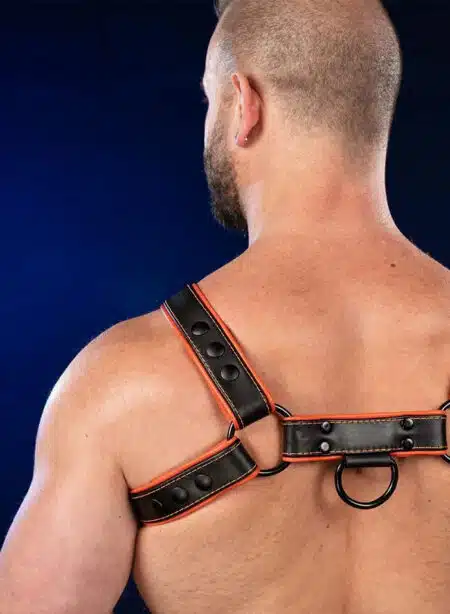 Mr. S Leather Hardline Bulldog Harness Orange