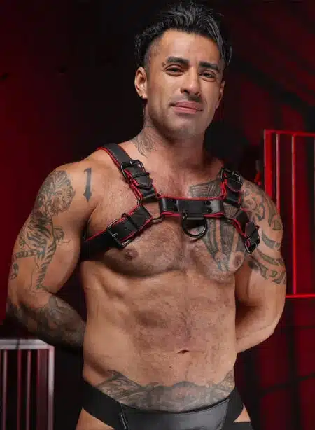 Mr. S Leather Hardline Bulldog Harness Red