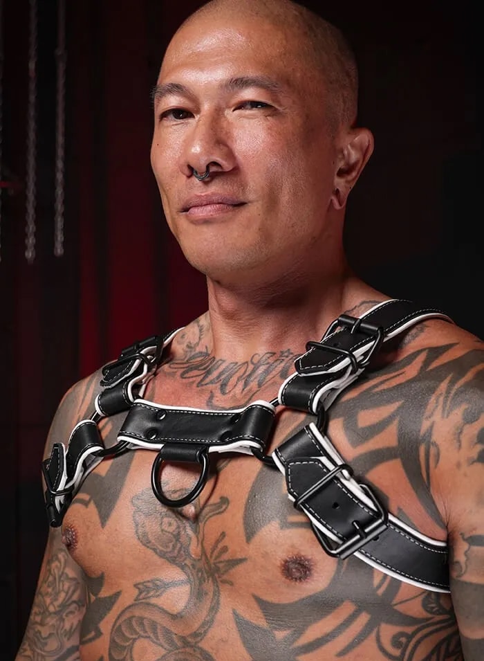 Mr. S Leather Hardline Bulldog Harness White