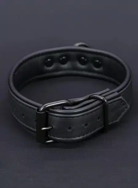 Mr. S Leather Hardline Collar Black