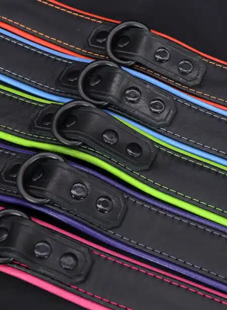 Mr. S Leather Hardline Collar Purple