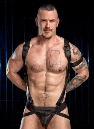 Mr. S Leather Hardline Hunter Harness Black