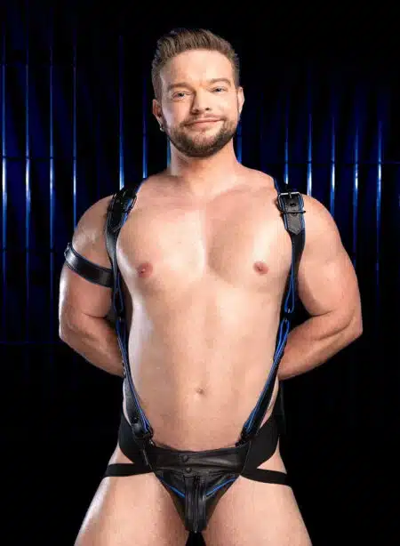 Mr. S Leather Hardline Hunter Harness Blue