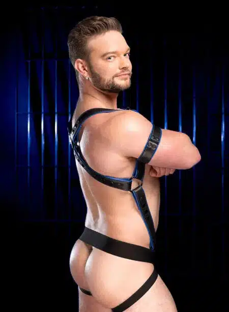 Mr. S Leather Hardline Hunter Harness Blue