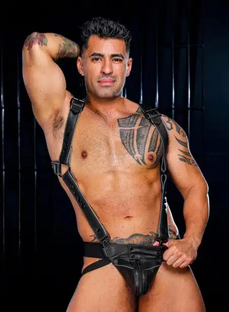 Mr. S Leather Hardline Hunter Harness Grey