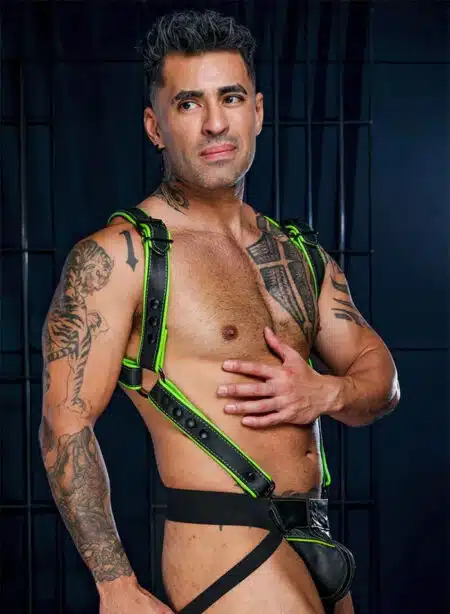 Mr. S Leather Hardline Hunter Harness Lime