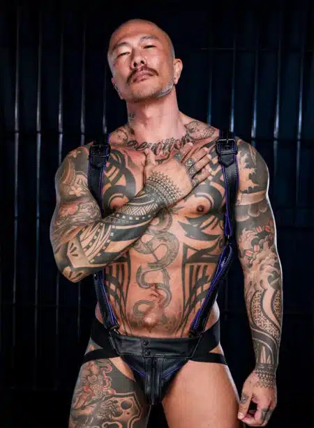 Mr. S Leather Hardline Hunter Harness Purple