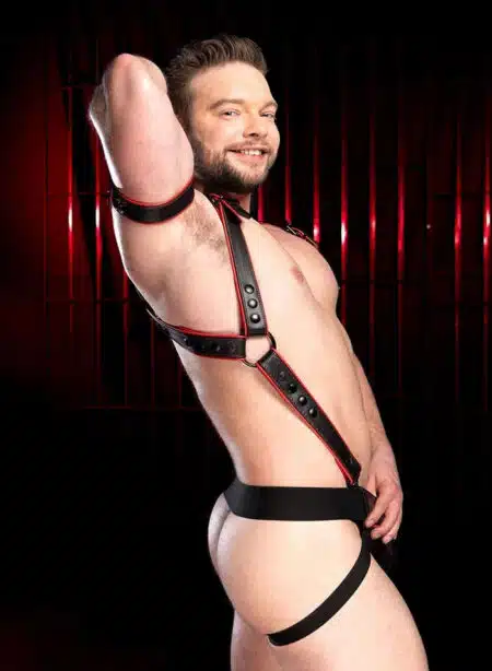 Mr. S Leather Hardline Hunter Harness Red