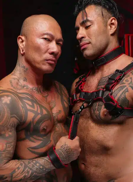 Mr. S Leather Hardline Short Leash Red