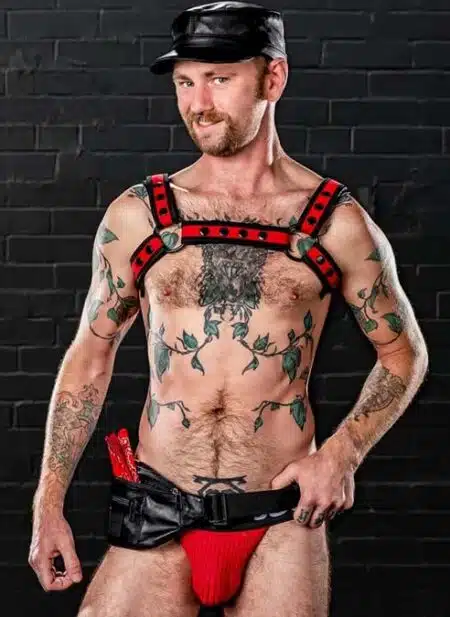 Mr. S Leather Hip Holster Black
