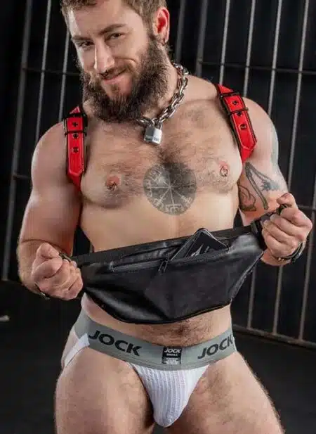 Mr. S Leather Hip Holster Black