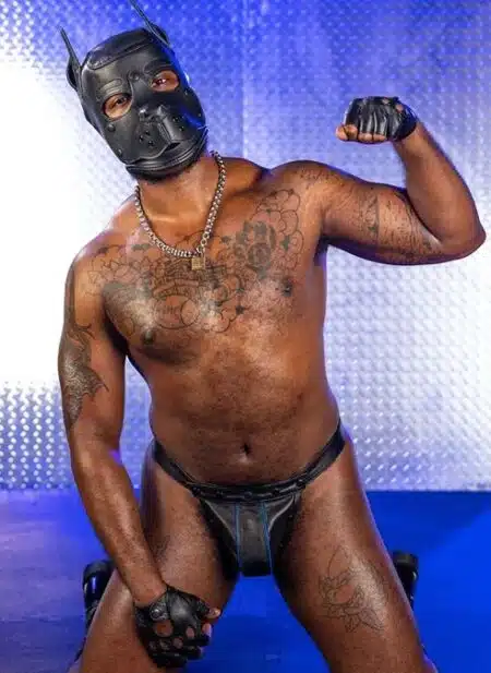 Mr. S Leather K9 Pup Hood Black